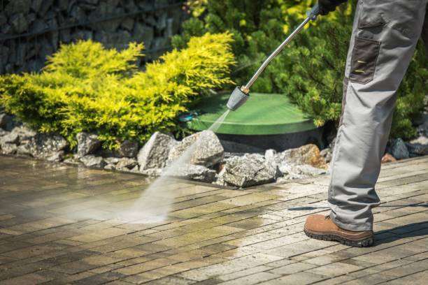 Best Pre-Holiday Cleaning  in Duarte, CA
