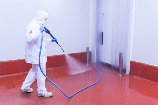 Best Dumpster Area Cleaning  in Duarte, CA